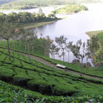Munnar