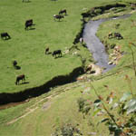 munnar