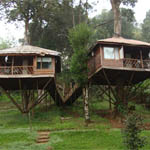munnar resorts