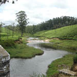 Valparai hill Station