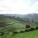 Ooty Hill Station